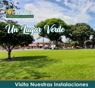 Piscina y zonas húmedas